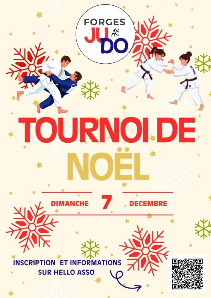 Image de l'actu 'Tournoi de Noel Forges'